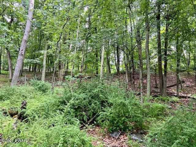 158 Ruffed Grouse Rd  