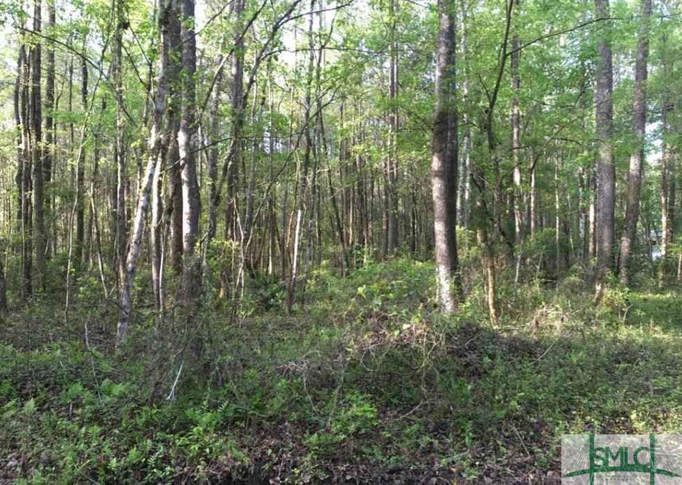 Lot 40 Pine Hl Rd  
