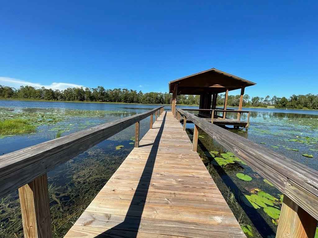 8174 Harvel Pond Road (25 5 Acres)  