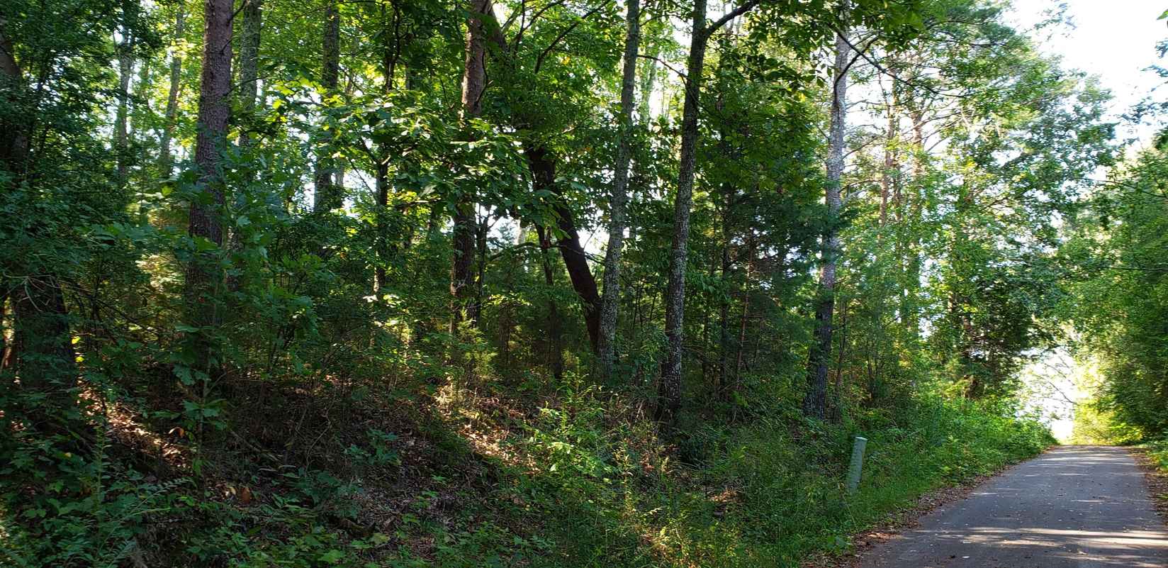 0 Treeline Dr  