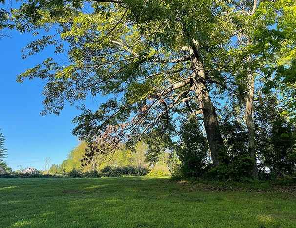 4 Lakeview Dr  