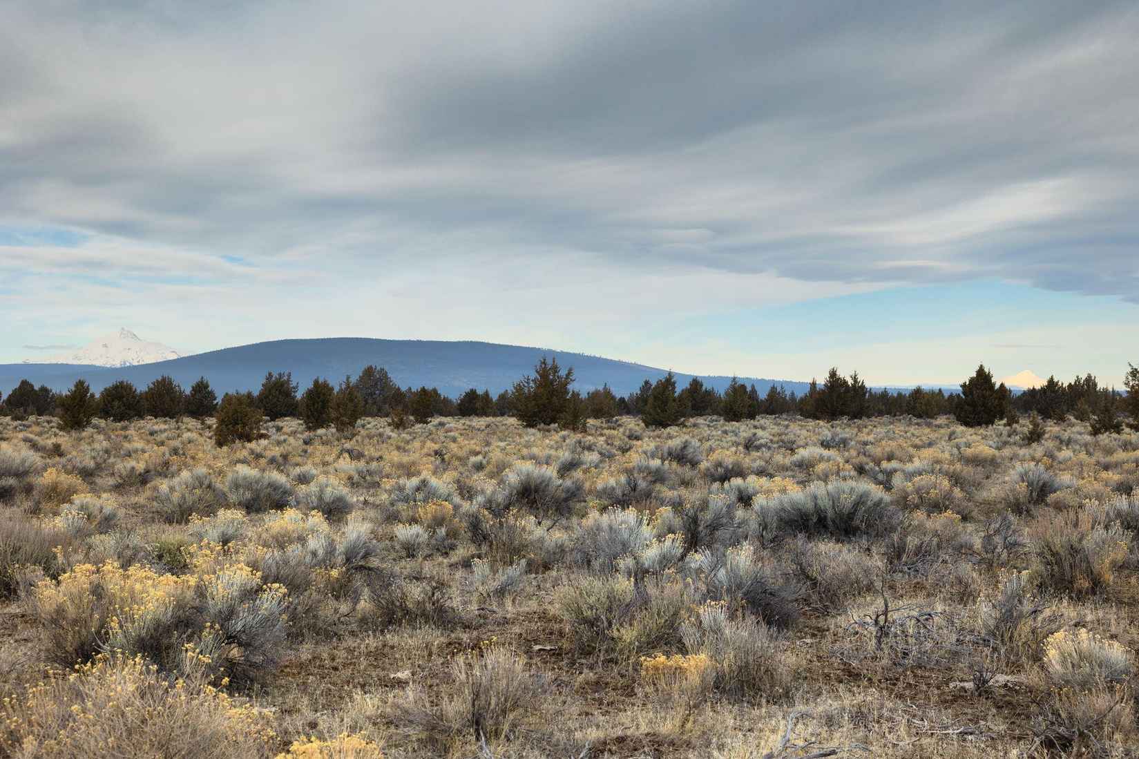 4501 PUBLIC USAGE Unit 4501  