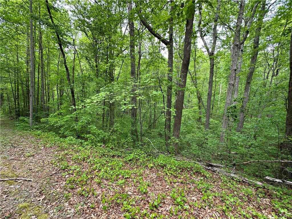 Lot 242 Catawba Ct  