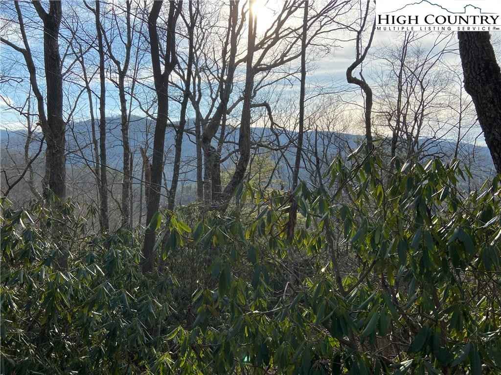 Lot 53 Abaco Dr  