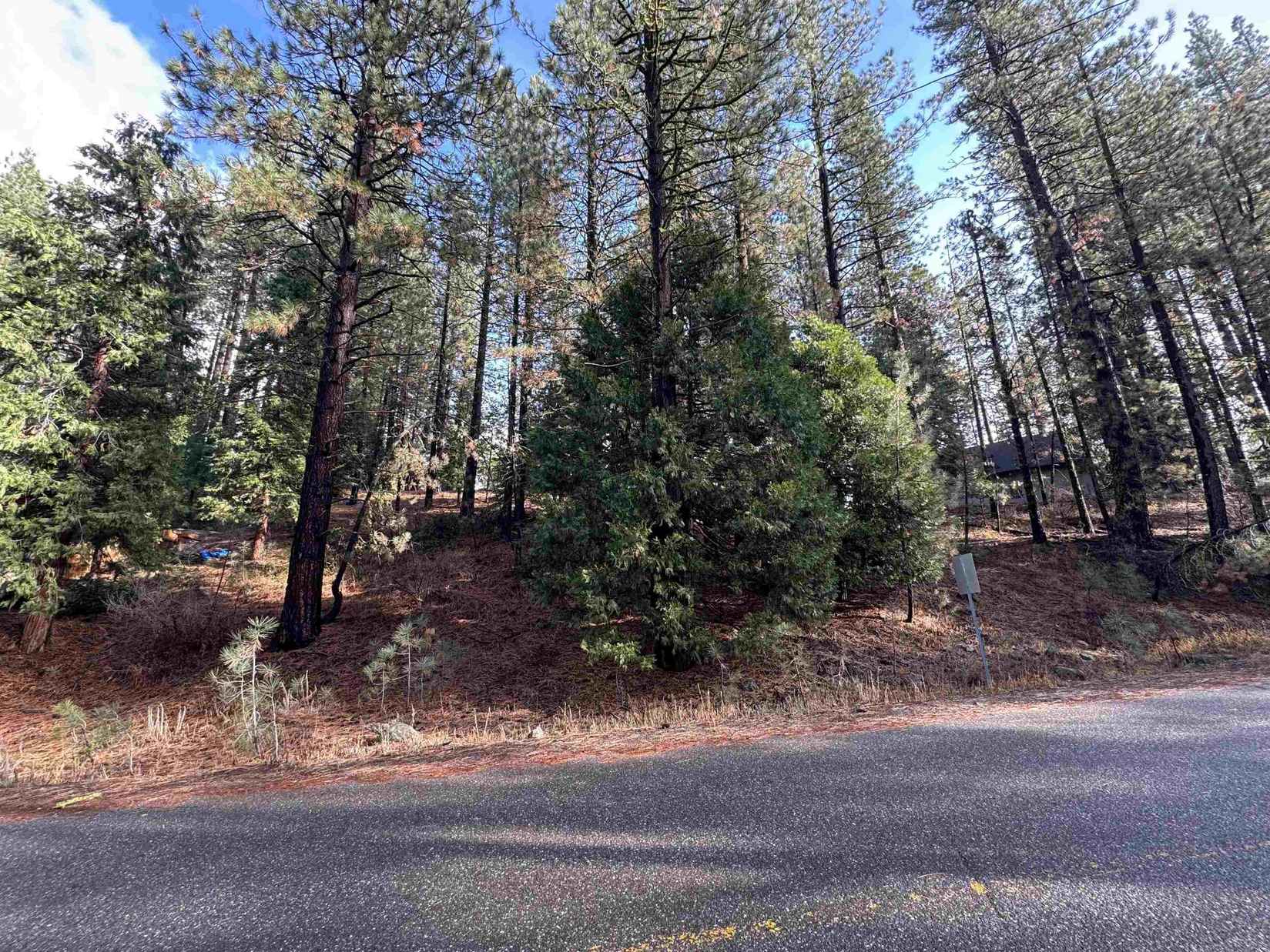 25 Maidu Trl  