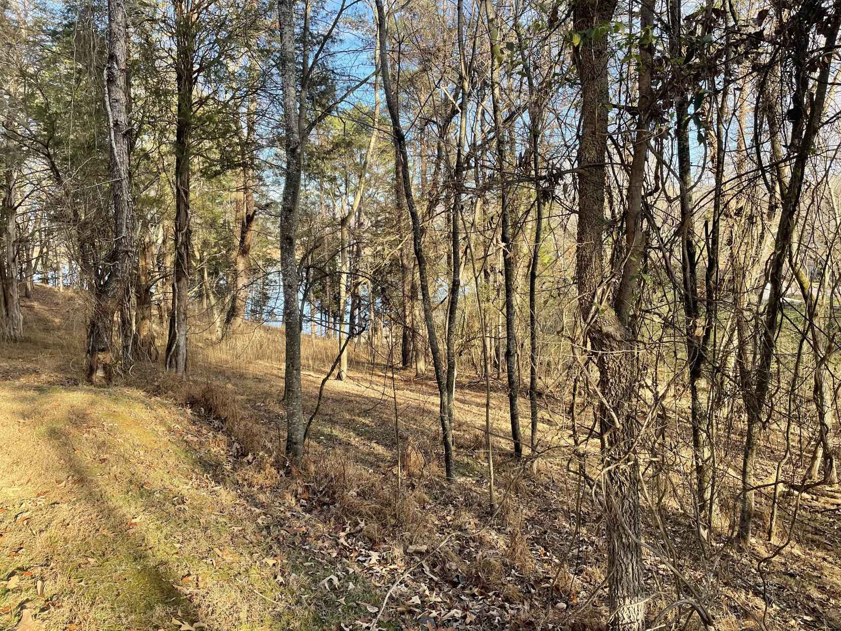2015 Tahlequah Ln  
