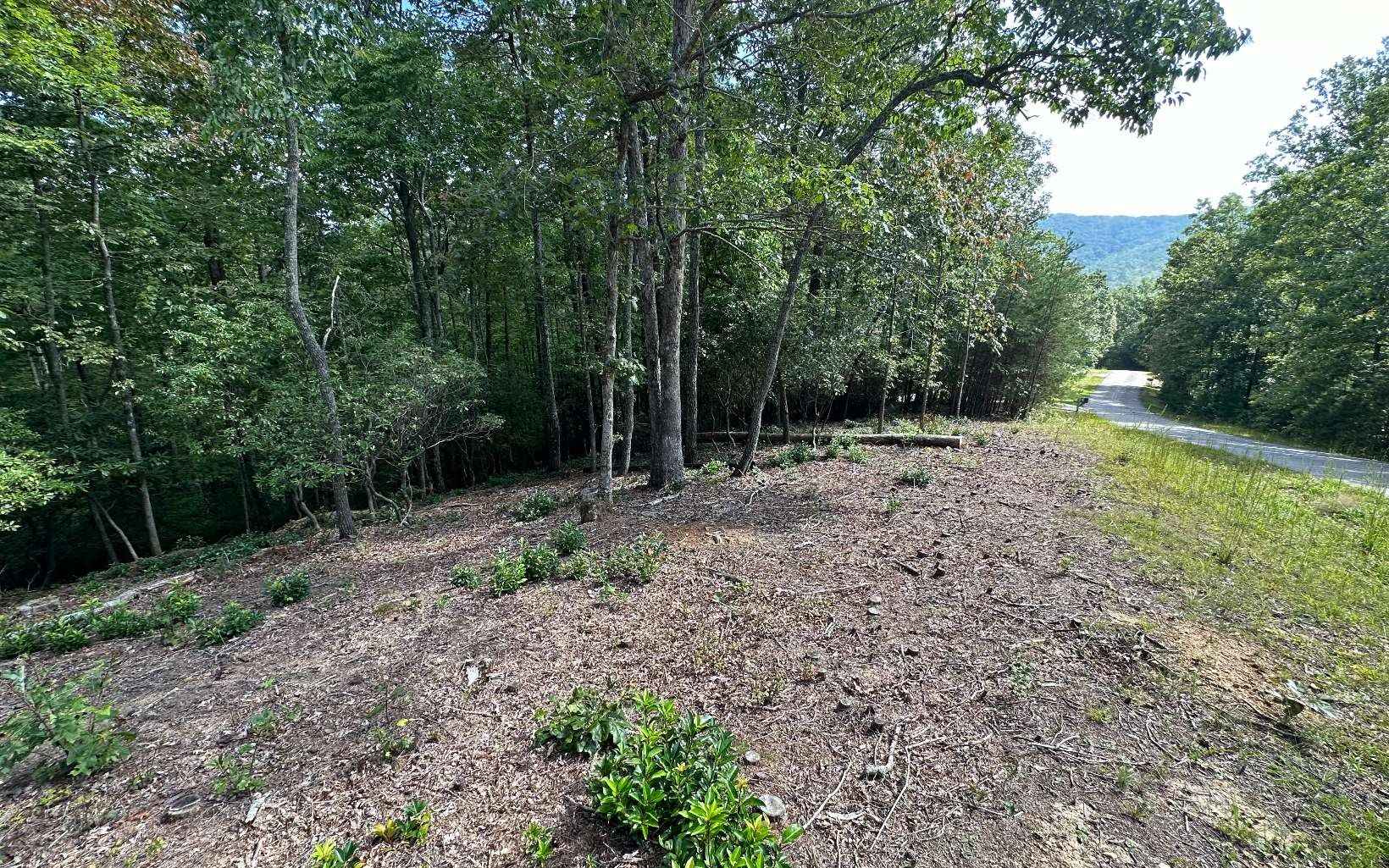 Lt 57 Asheland Cv Dr  