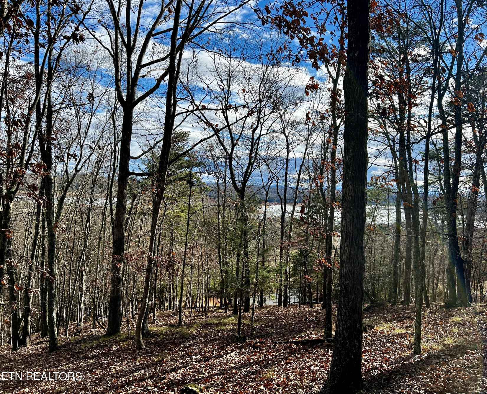 8028 Mountain Rdg Dr  