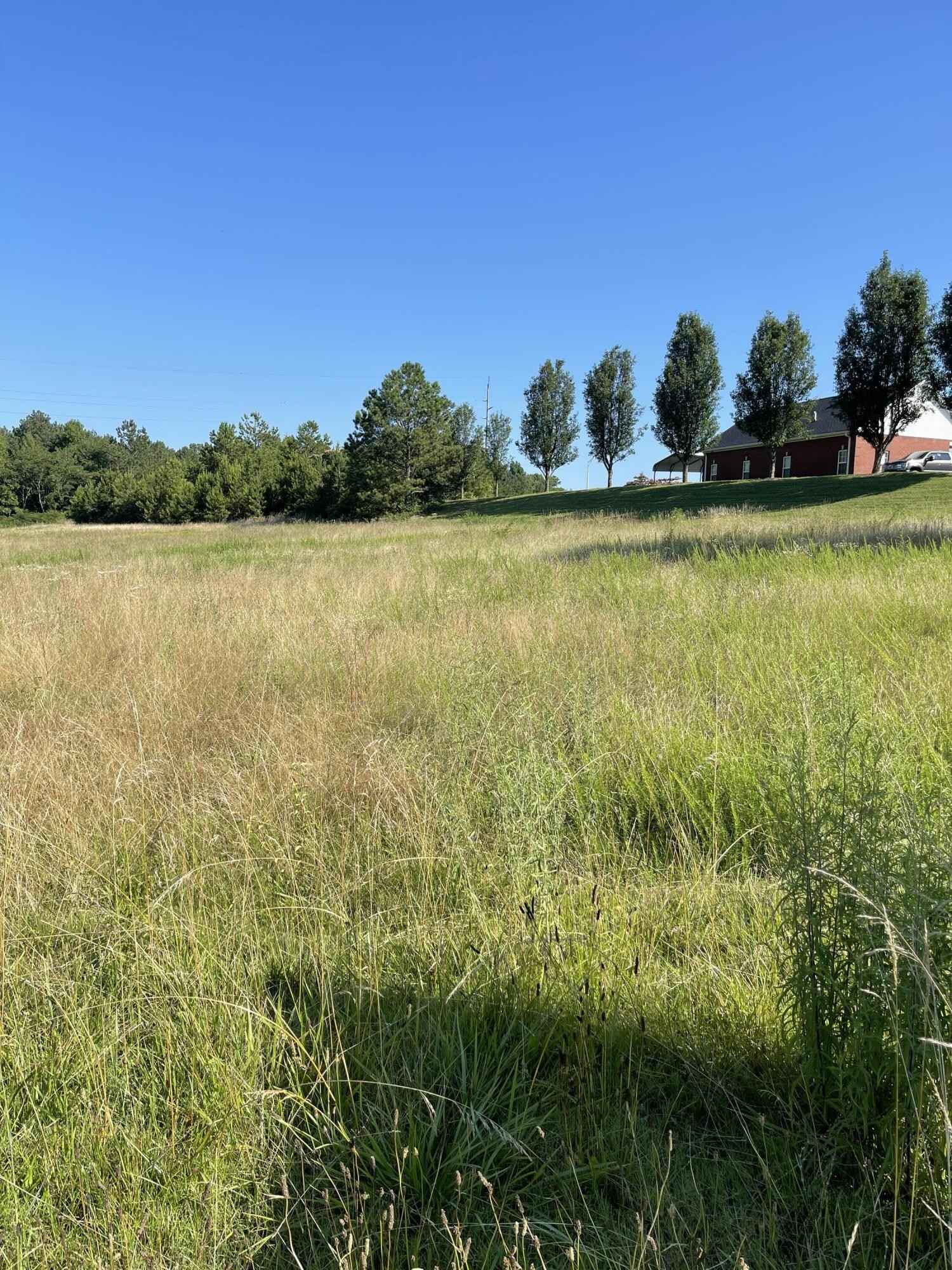 Lot 13 NE Ralph Buckner Drive Dr NE  