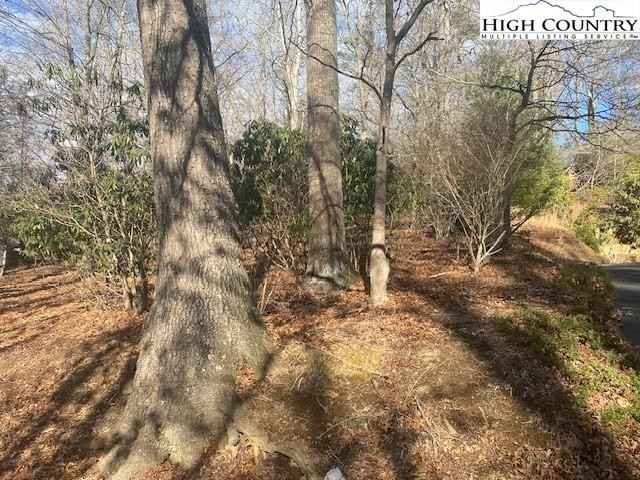 106 Laurel Dr  