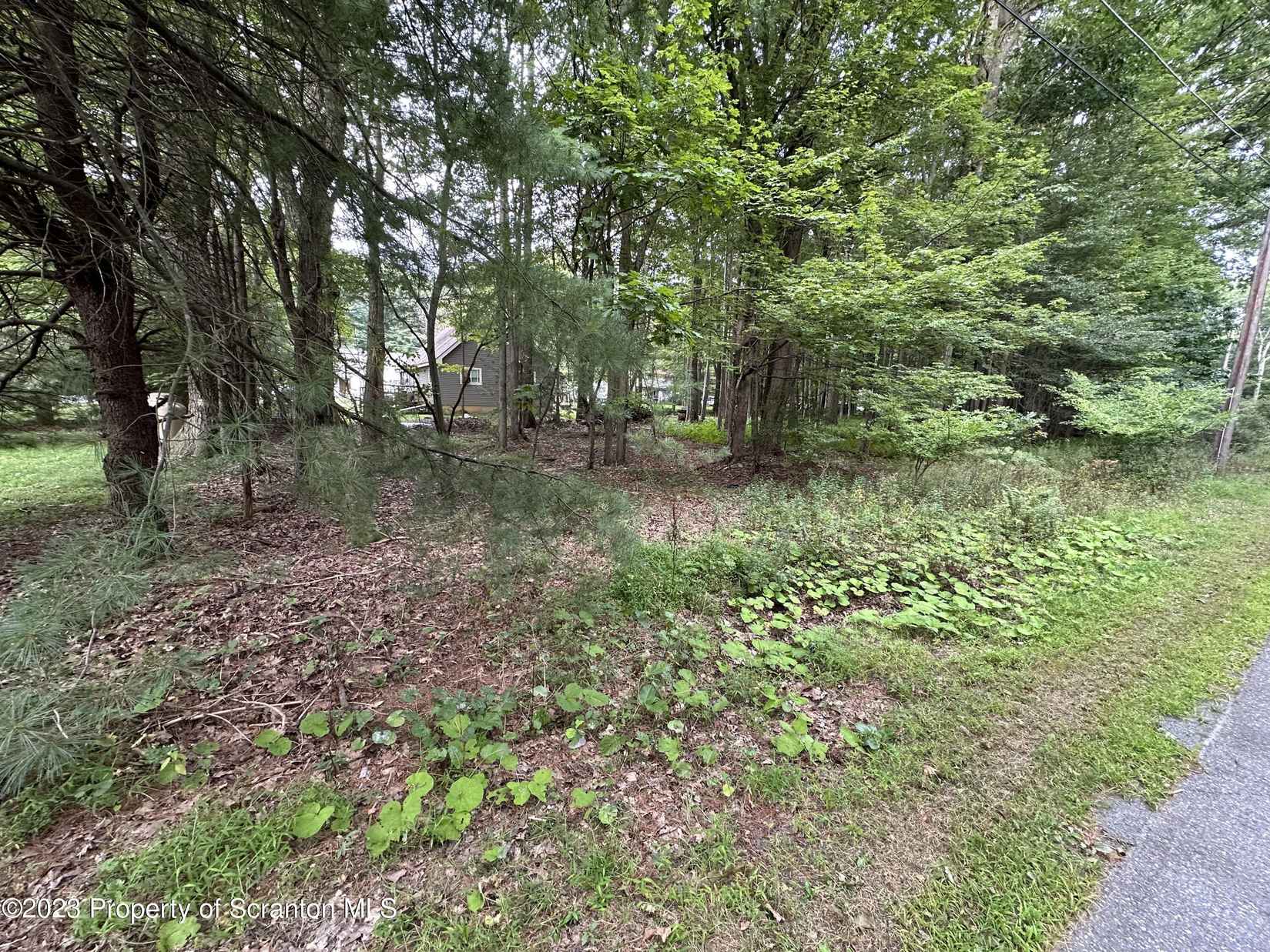 Lot 38 Park Ave a/k/a Lexington Ave  