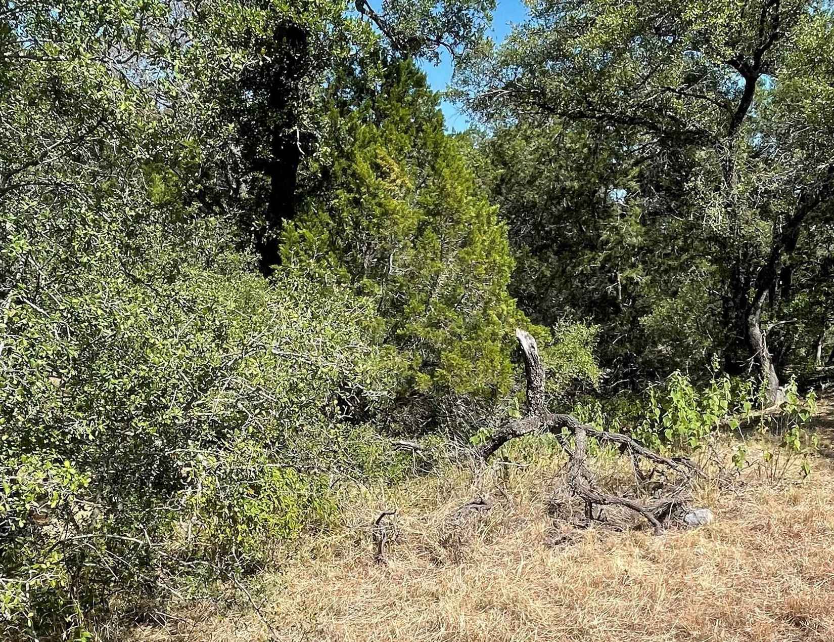 Lot K13024 Range Rider  