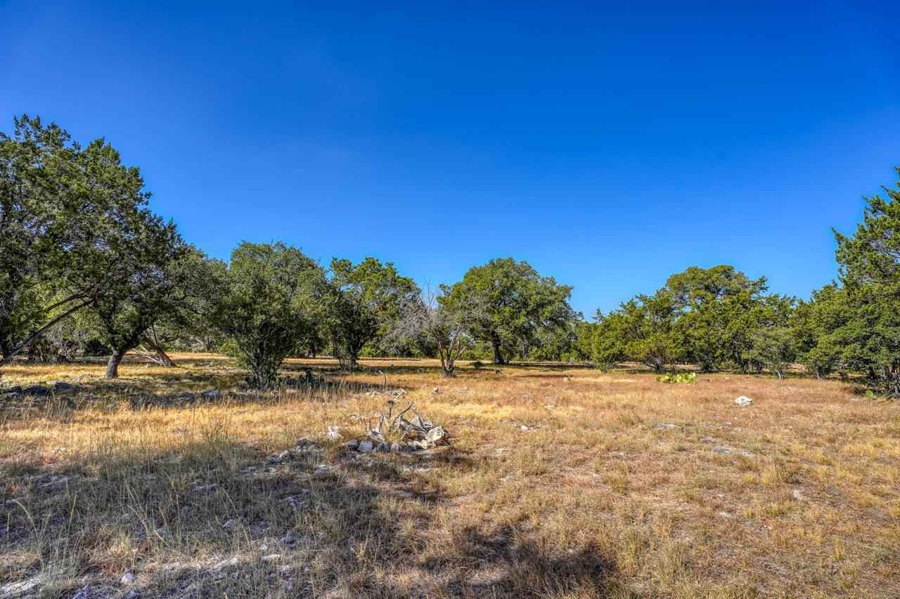 1301 1305 Coach whip  