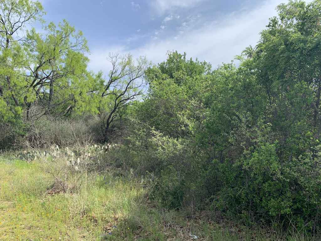 Lot 218 Western Dr  