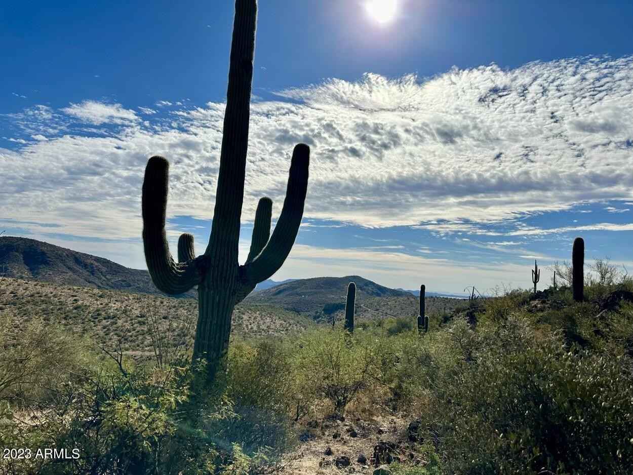 000000 S Burro Pass Rd  