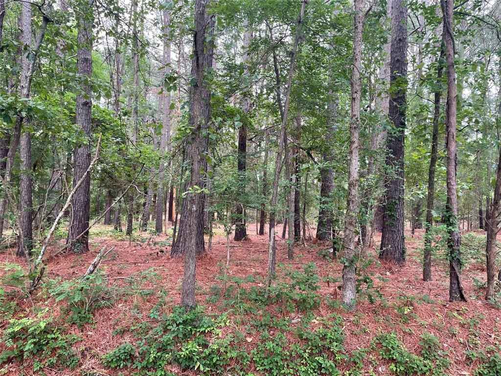 20348 County Rd 4106  