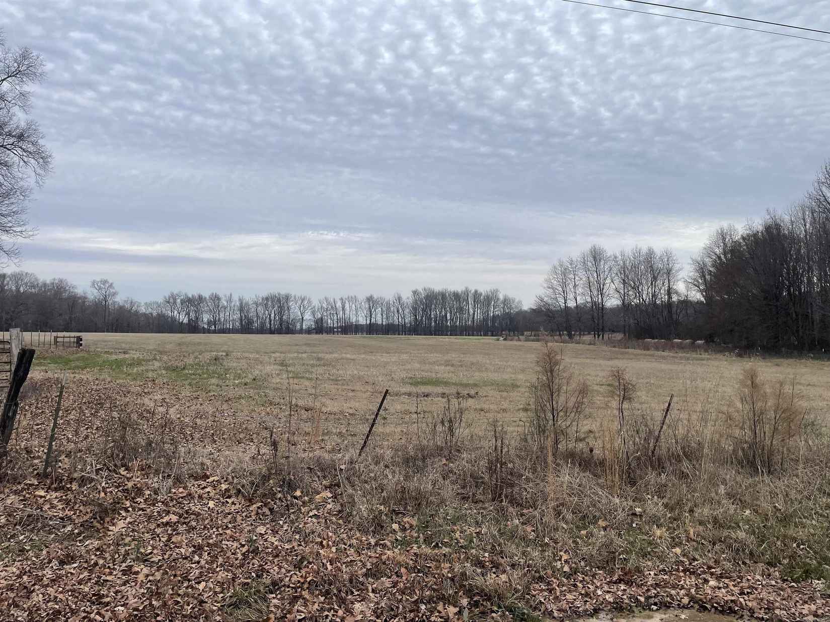 115 Illinois Loop  
