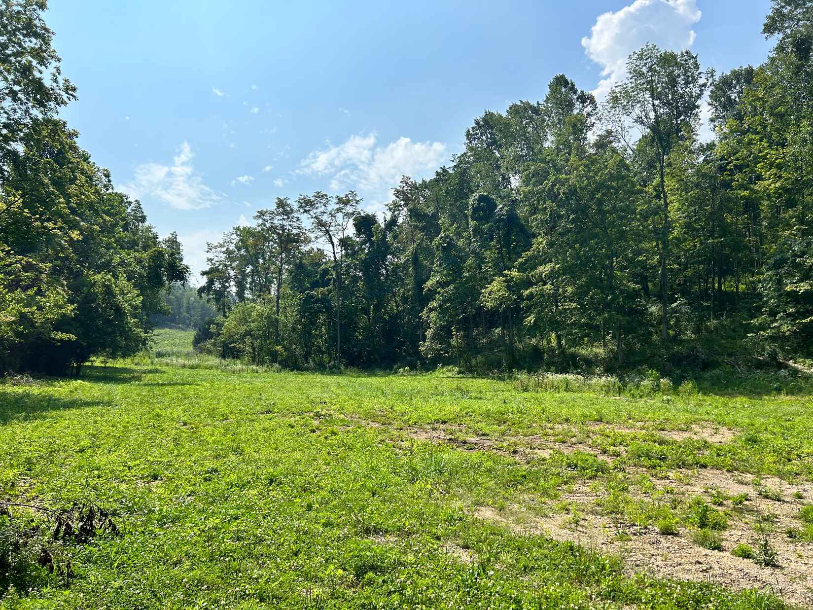1393 Massie Run Rd  