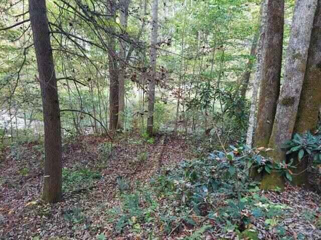 Lot Unit 26 Gold Mine RD  