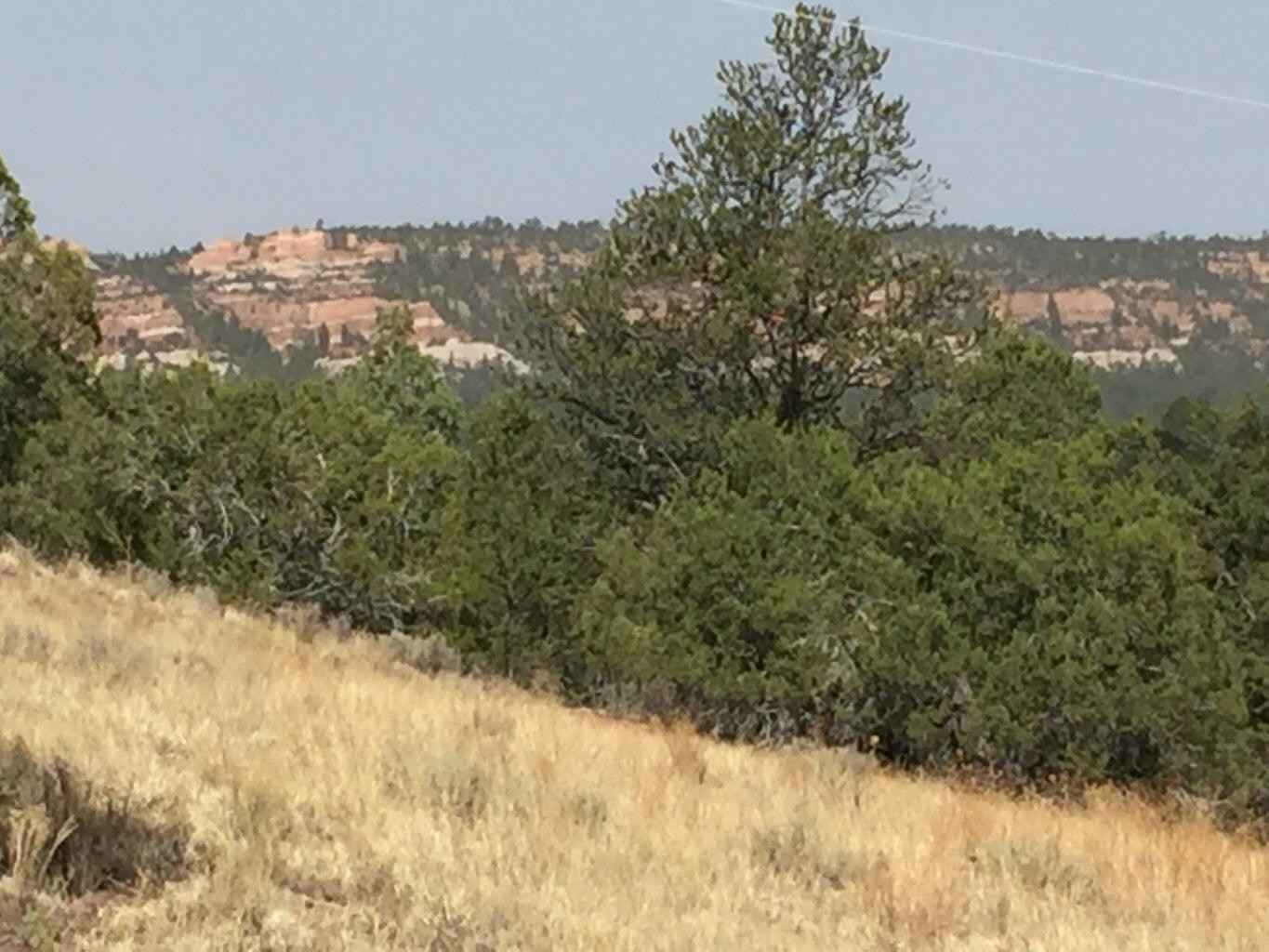 Lot 3 Sunflower Dr  