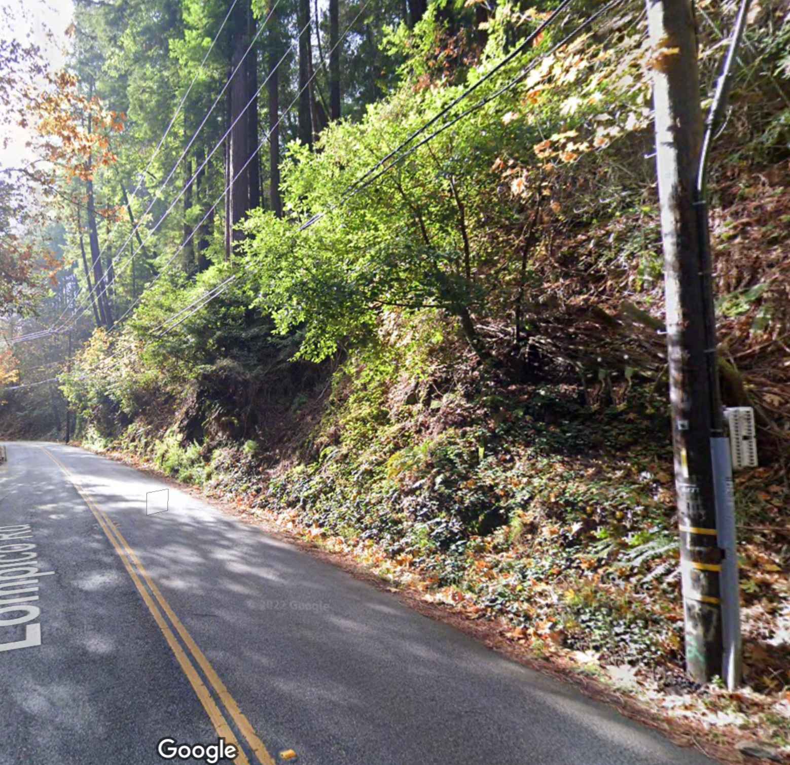 next to 10303 Lompico Rd  