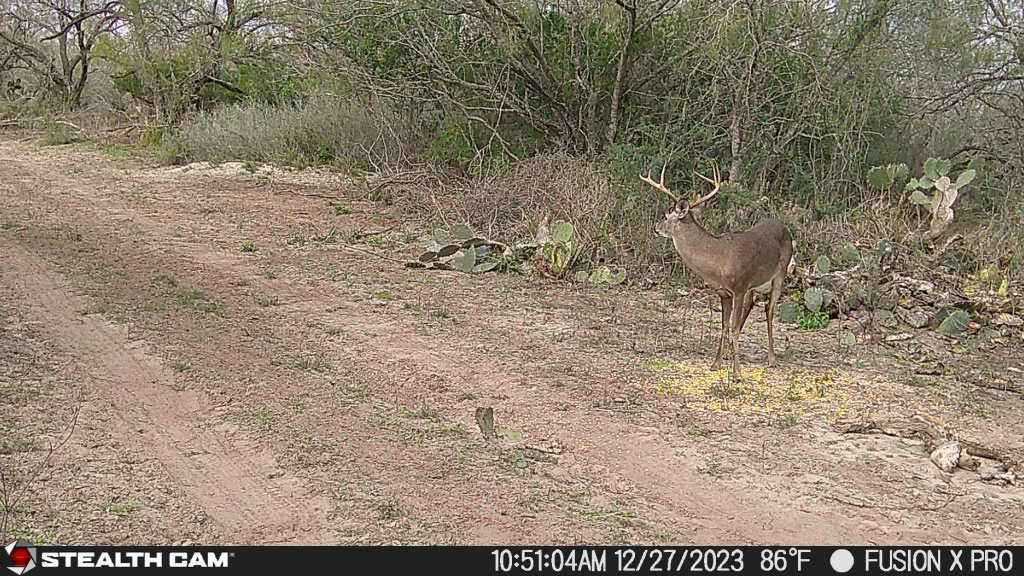 US Hwy 281  