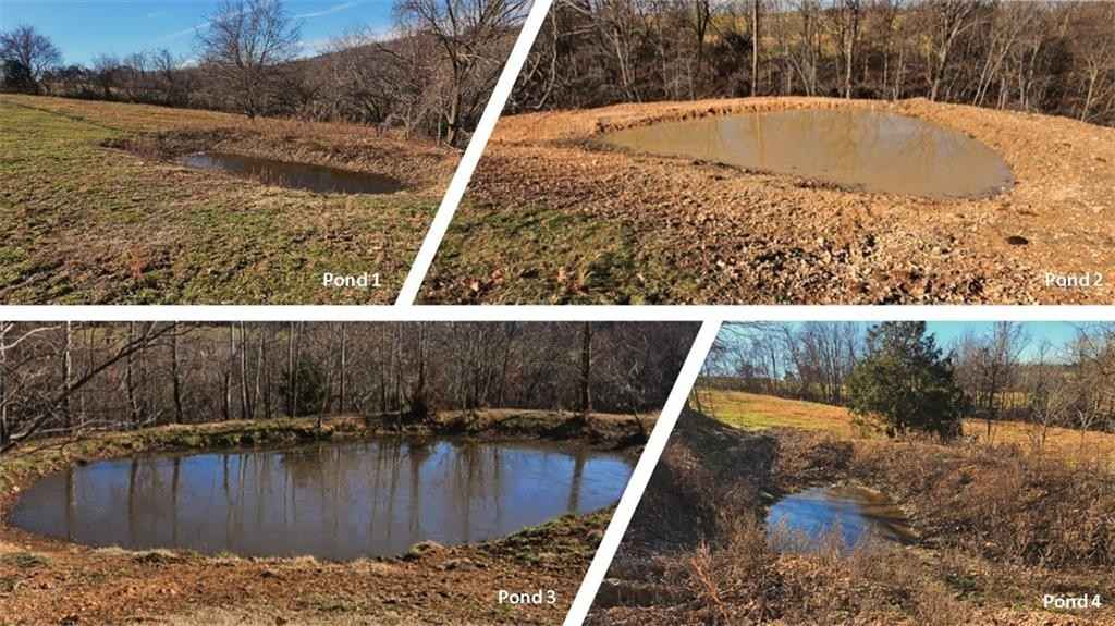 68 80 Acres Low Gap RD  