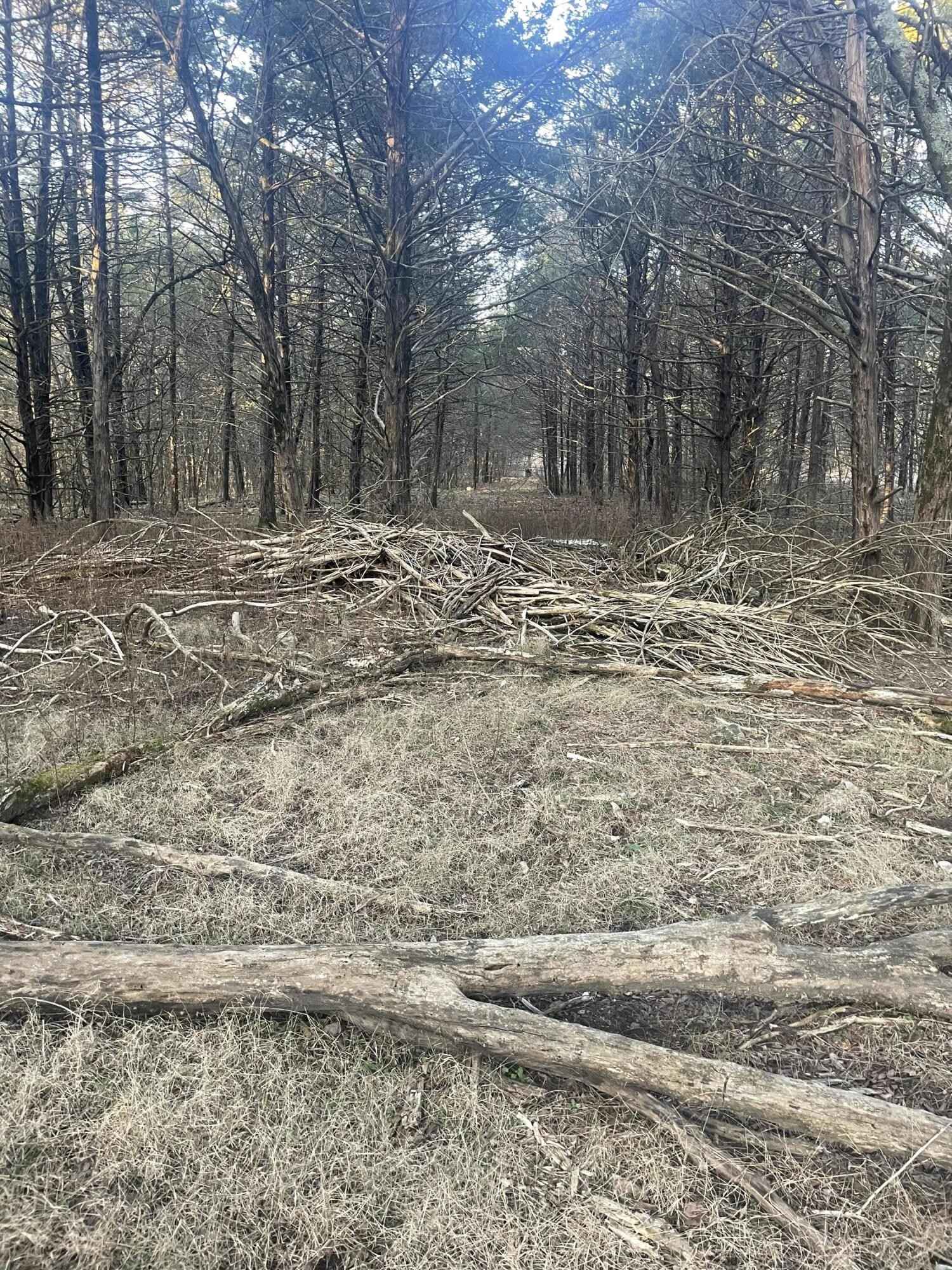 000 Woodland Shrs Rd  