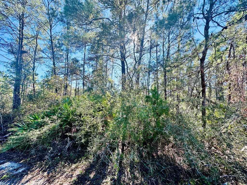 264 Riv Rd  