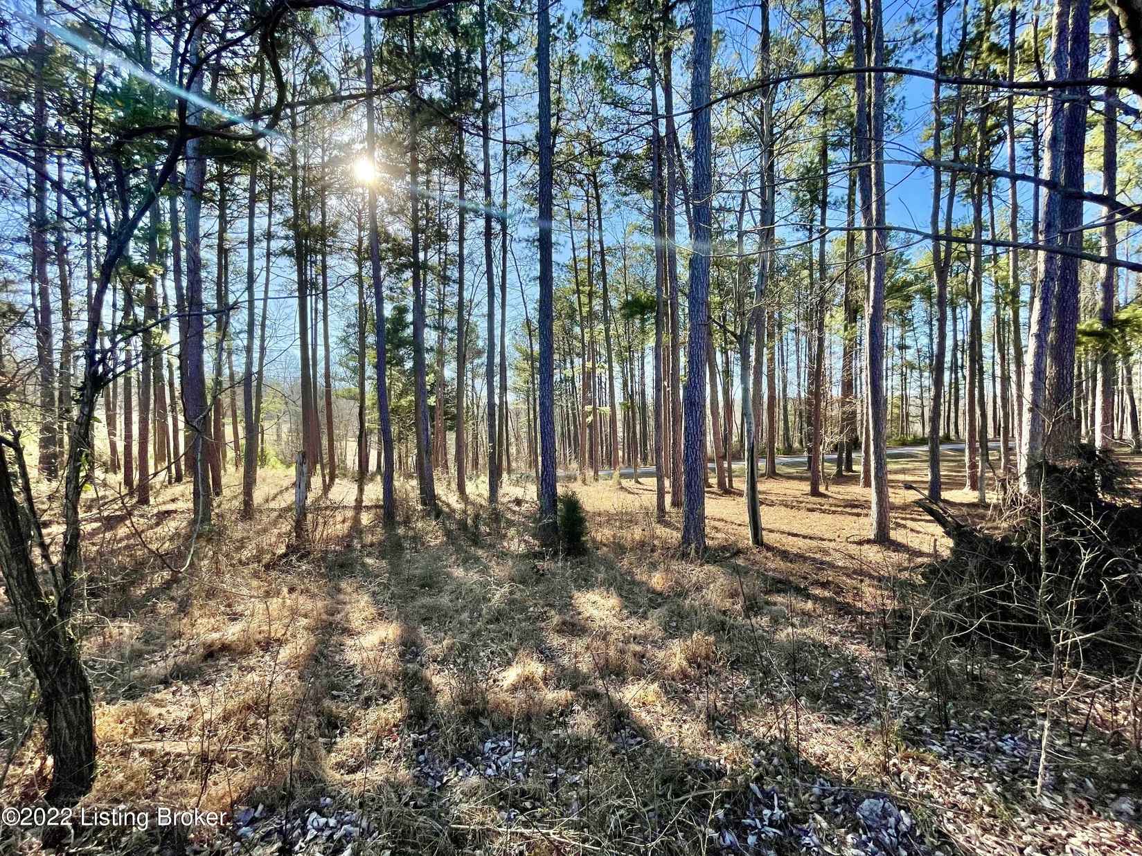 0 Marina Fountain Ln  