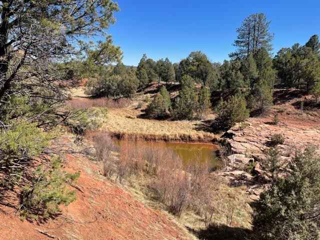 10 Acres Camino Real  