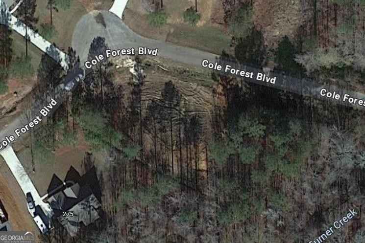 LOT 50 Cole Frst Blvd  