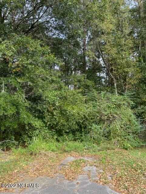 0 E Near 715 E 1st Ave  