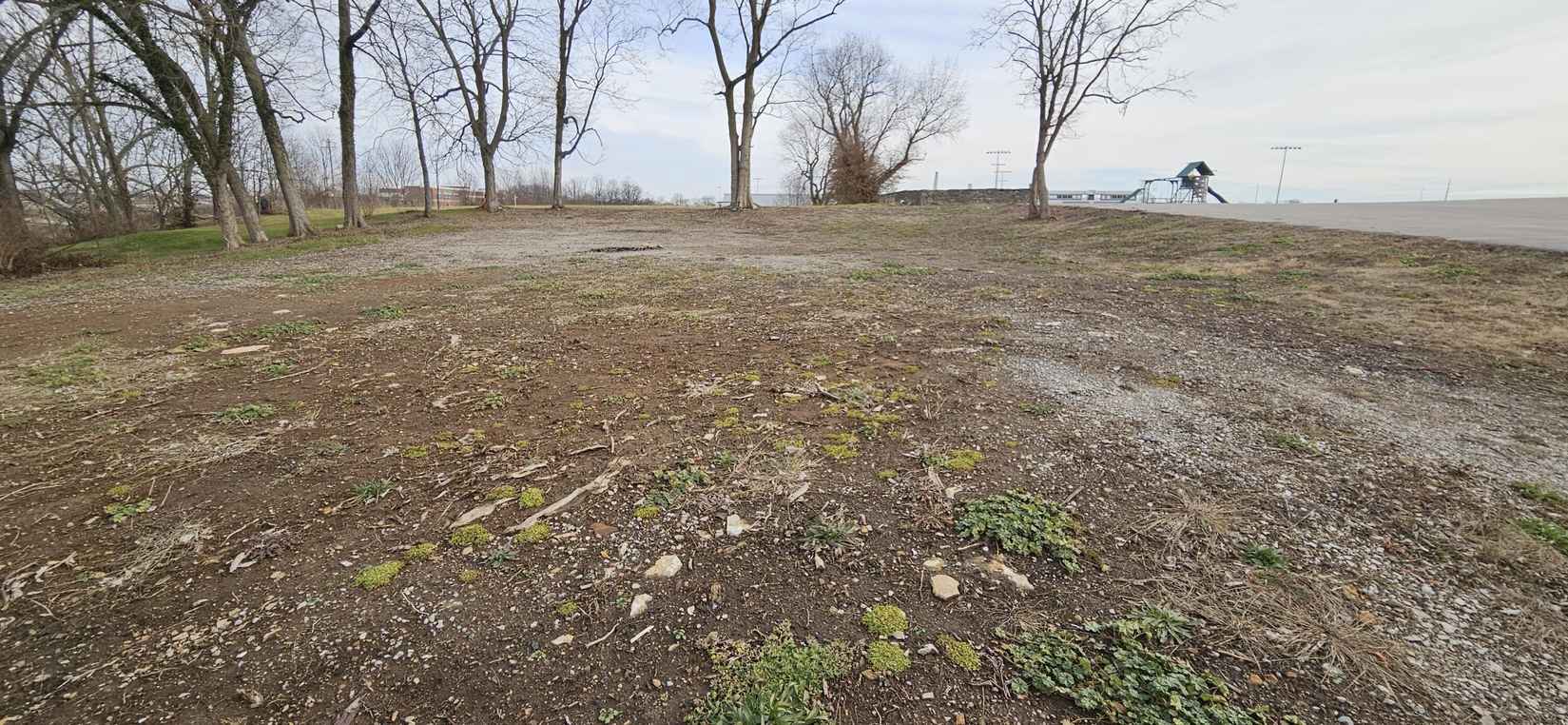 1081 STAMPING GROUND RD  