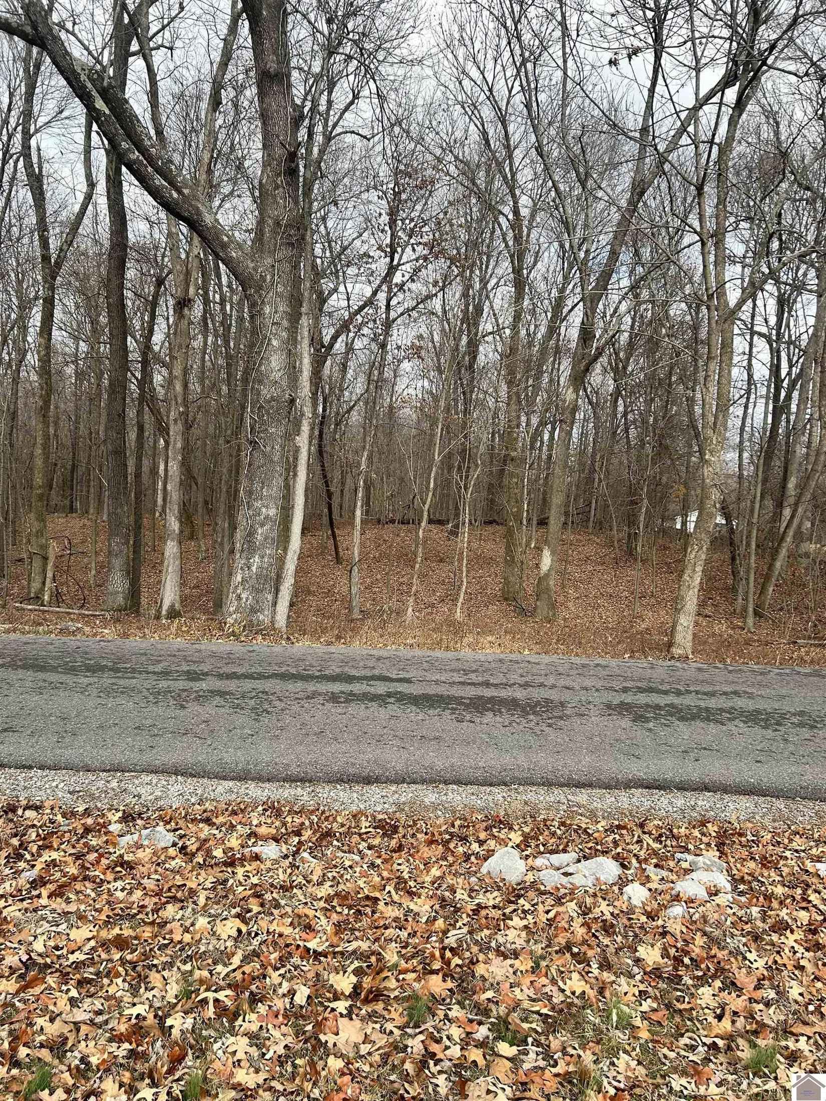 650 S Gum Spgs Rd  
