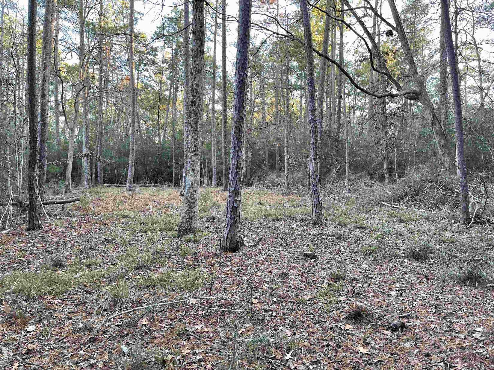 SEC 15 Lot 49 Dusky Ln  