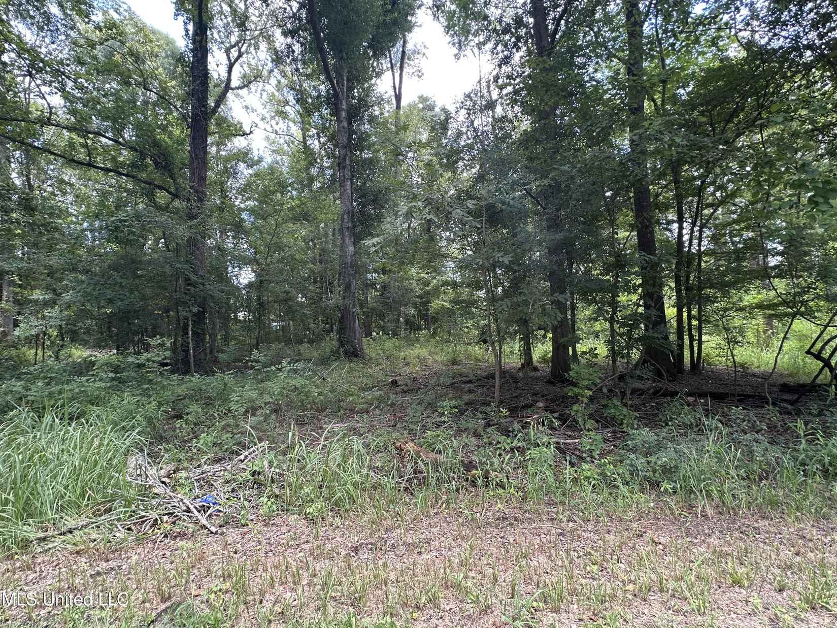 Lot 222 Hickory Ln  