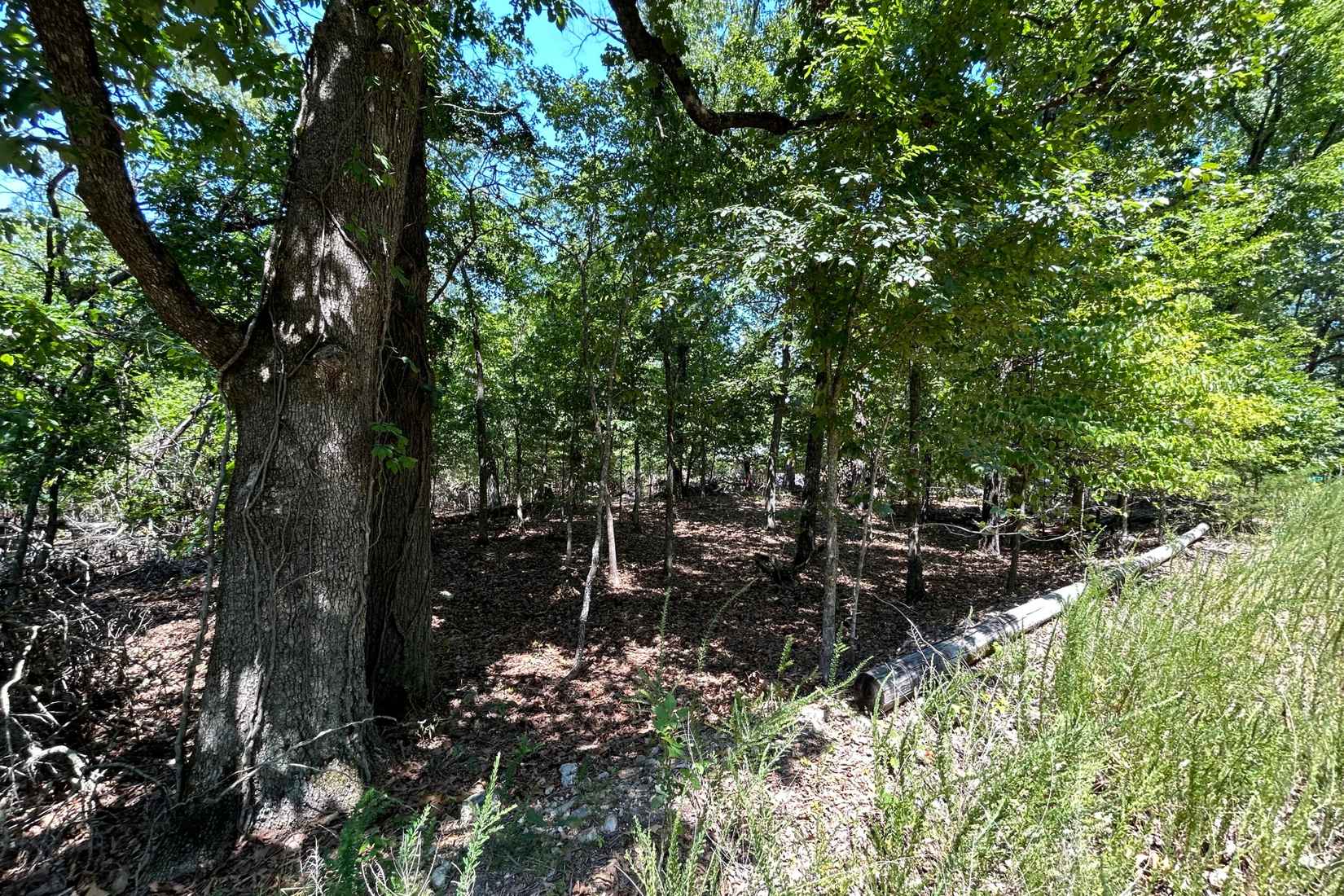 Lot 7 Powell Blvd  