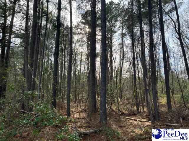 lot 1 Log Cabin Rd  