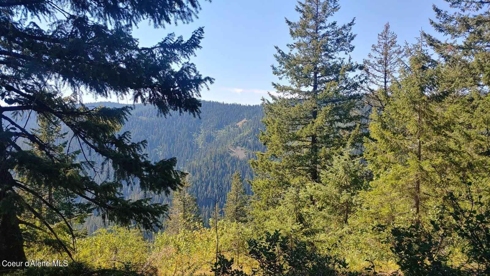 NKA St Joe Mountains 40 Acres  