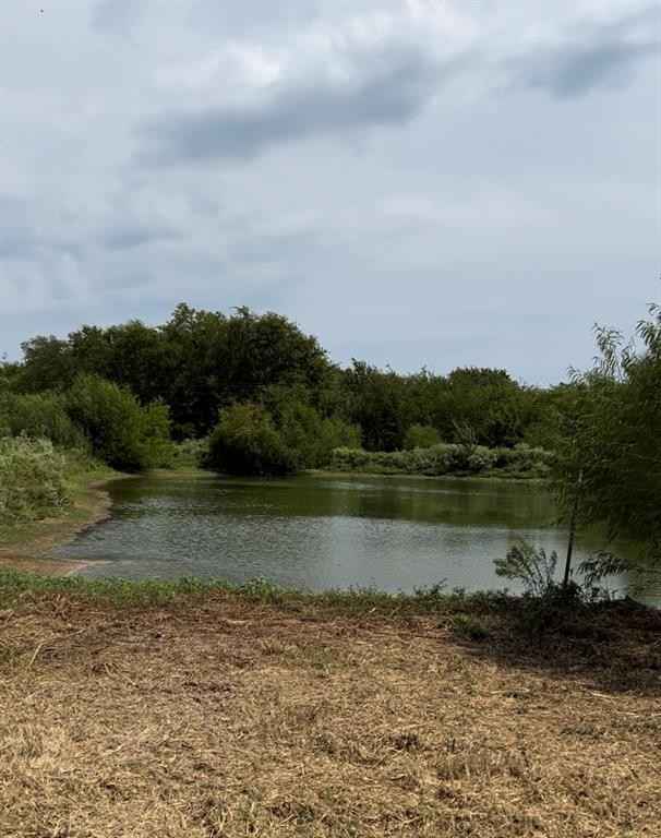 Lot 6 County Rd 3374  