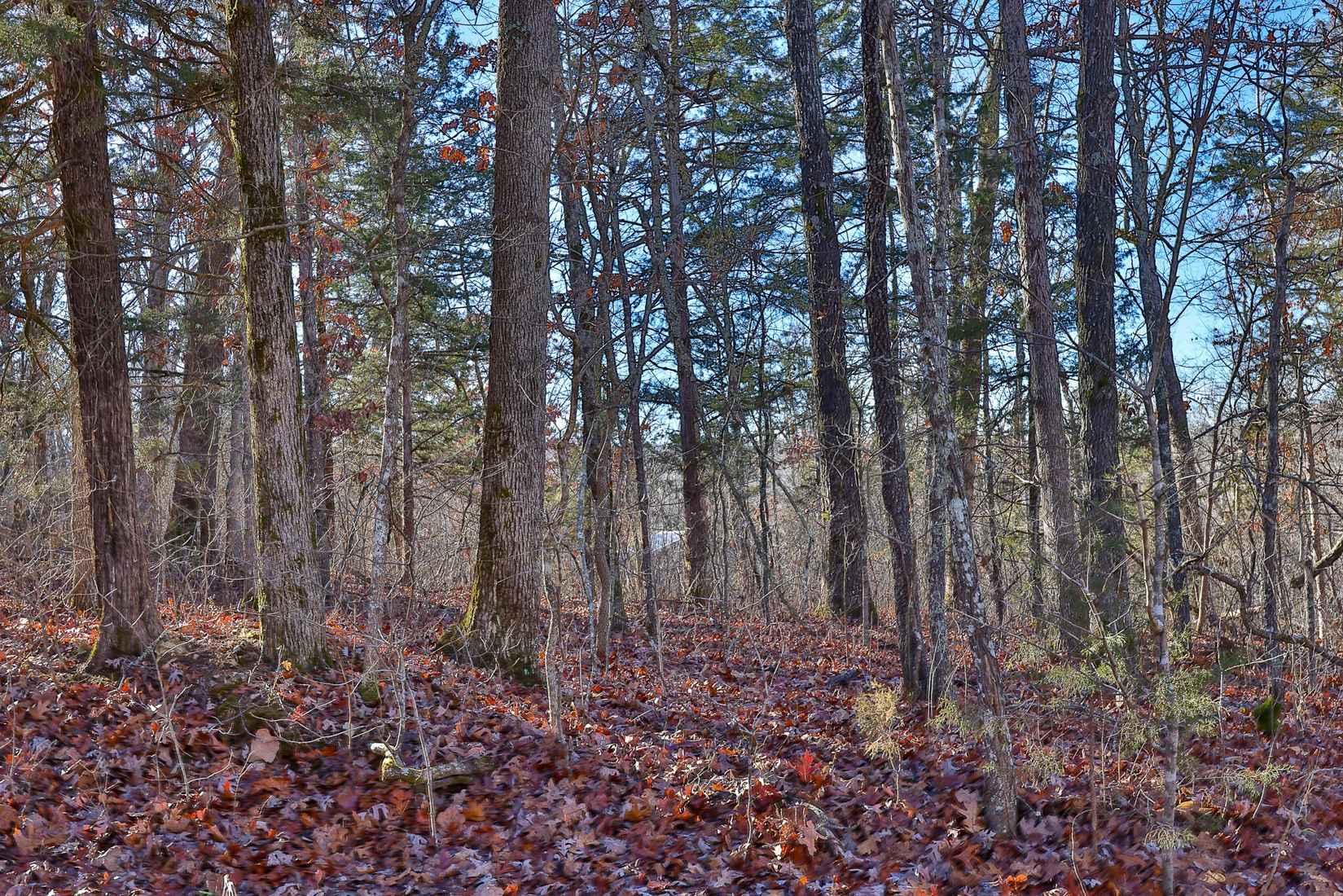 Lot 1 2 County Rd 302  