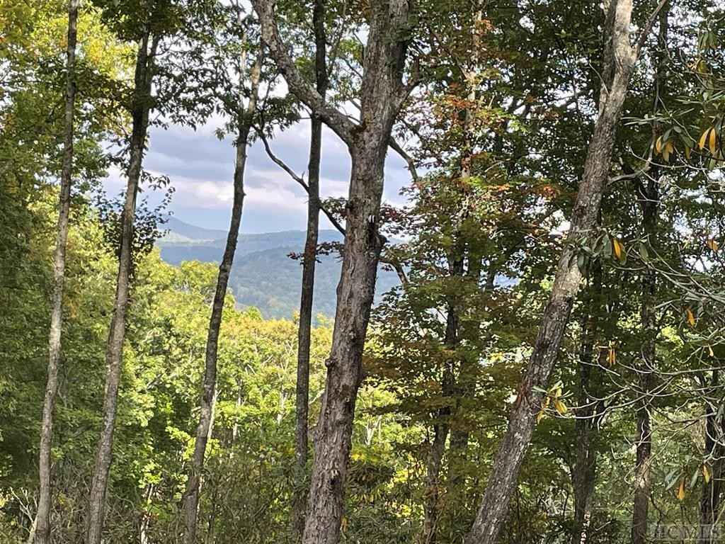 Lot 2 GlenCove Overlook  