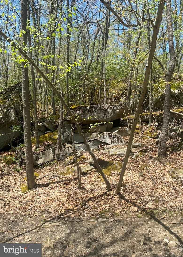 Lot 38 BUCK Dr  