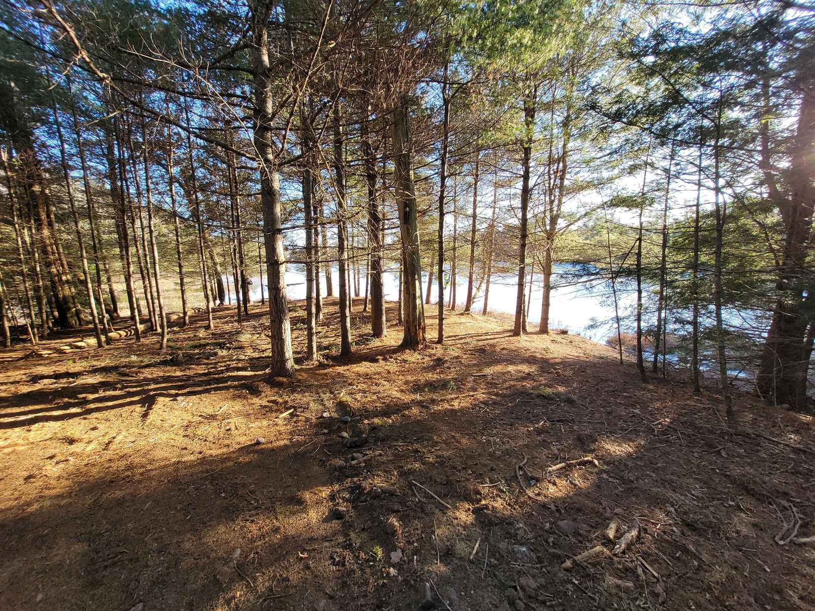 00 Middle Pond Rd  