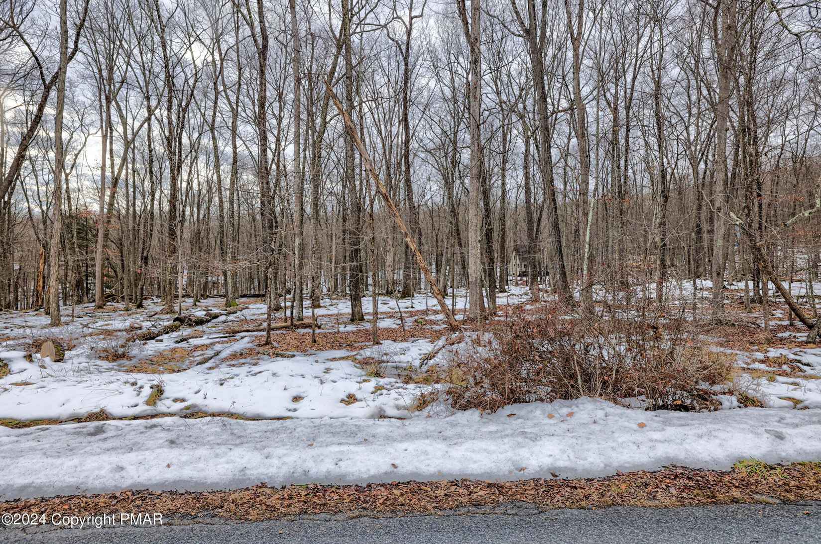 Lot 17 Pocono Mountain Lk Dr  