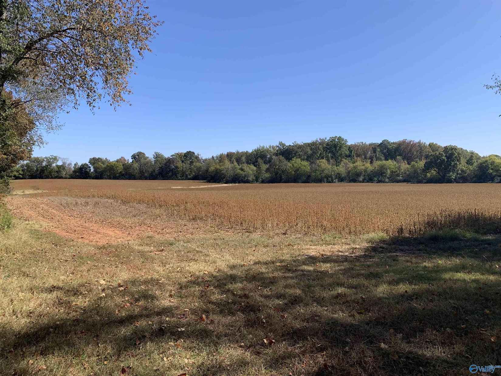 10 Acres County Line Rd  