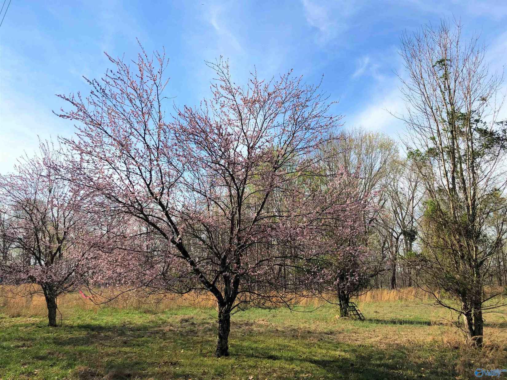 Tract 5 County Rd 182  