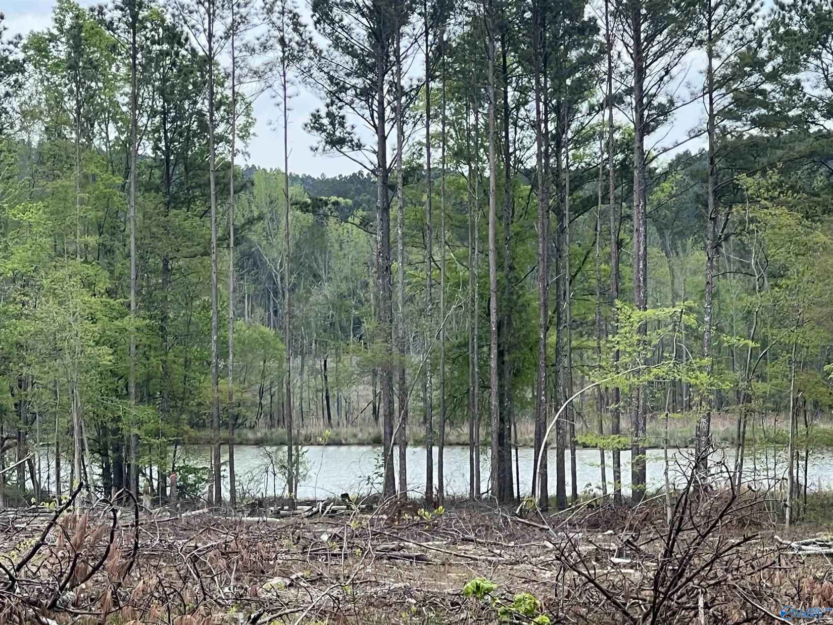 Tract 2 County Rd 664  