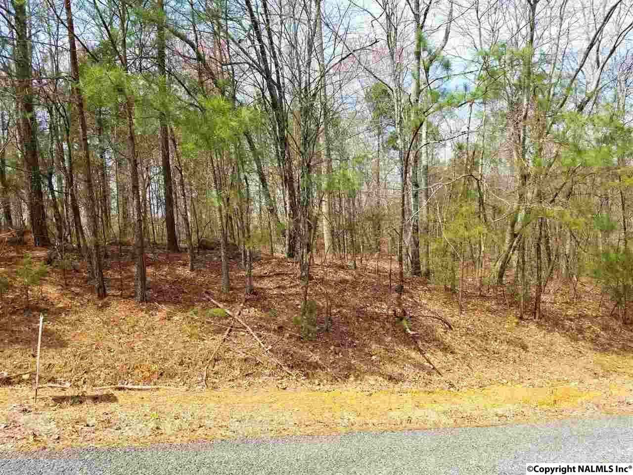 Lots 38 39 Chawnee Cir  